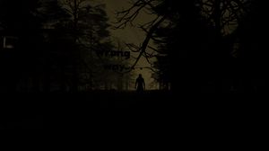 Preview wallpaper silhouette, dark, night, forest, trees
