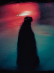 Preview wallpaper silhouette, dark, reflection, abstraction, spots