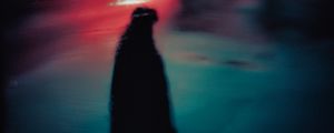 Preview wallpaper silhouette, dark, reflection, abstraction, spots