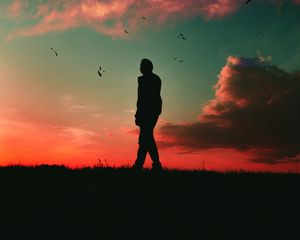Preview wallpaper silhouette, dark, twilight, sky, clouds, birds