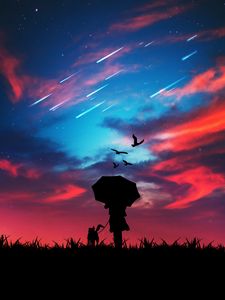 Preview wallpaper silhouette, dark, walk, the sky, bright, stargazin