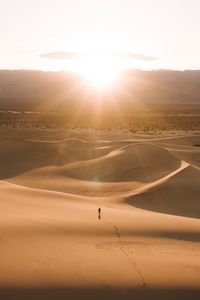 Preview wallpaper silhouette, desert, dunes, sand, rays