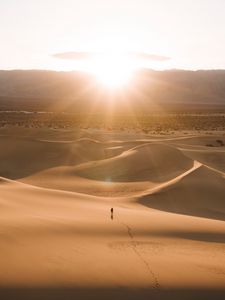 Preview wallpaper silhouette, desert, dunes, sand, rays