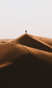 Preview wallpaper silhouette, desert, sand