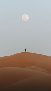 Preview wallpaper silhouette, desert, sand, moon
