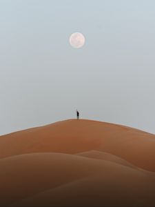 Preview wallpaper silhouette, desert, sand, moon