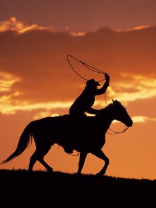 Preview wallpaper silhouette, evening, equestrian, horse, decline