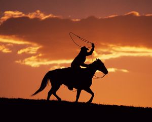 Preview wallpaper silhouette, evening, equestrian, horse, decline