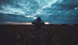 Preview wallpaper silhouette, field, dark, twilight, evening