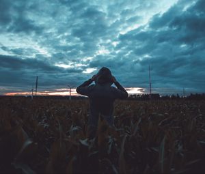 Preview wallpaper silhouette, field, dark, twilight, evening