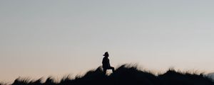 Preview wallpaper silhouette, field, night, sky, lonely