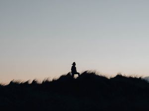 Preview wallpaper silhouette, field, night, sky, lonely