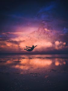 Preview wallpaper silhouette, flight, ocean, coast, night