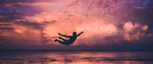 Preview wallpaper silhouette, flight, ocean, coast, night
