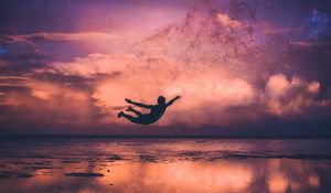 Preview wallpaper silhouette, flight, ocean, coast, night