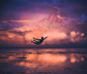Preview wallpaper silhouette, flight, ocean, coast, night