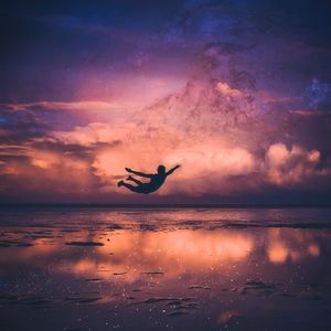 Preview wallpaper silhouette, flight, ocean, coast, night