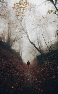 Preview wallpaper silhouette, fog, forest, loneliness, solitude, walk