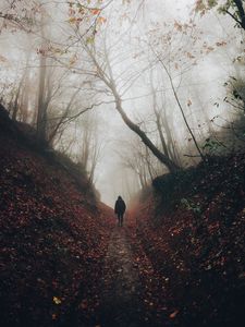 Preview wallpaper silhouette, fog, forest, loneliness, solitude, walk