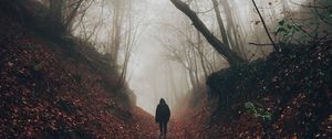 Preview wallpaper silhouette, fog, forest, loneliness, solitude, walk