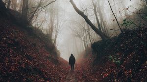 Preview wallpaper silhouette, fog, forest, loneliness, solitude, walk