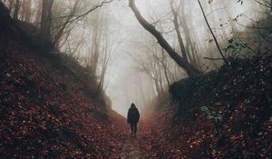 Preview wallpaper silhouette, fog, forest, loneliness, solitude, walk
