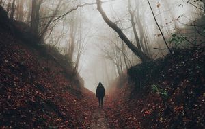 Preview wallpaper silhouette, fog, forest, loneliness, solitude, walk