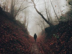 Preview wallpaper silhouette, fog, forest, loneliness, solitude, walk