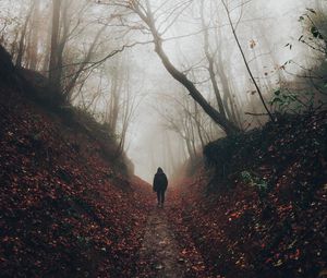 Preview wallpaper silhouette, fog, forest, loneliness, solitude, walk