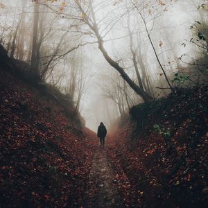 Preview wallpaper silhouette, fog, forest, loneliness, solitude, walk