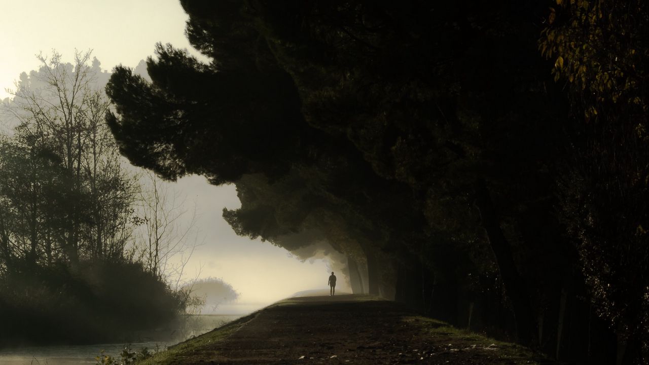 Wallpaper silhouette, fog, trees, loneliness, darkness, dark