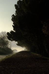 Preview wallpaper silhouette, fog, trees, loneliness, darkness, dark