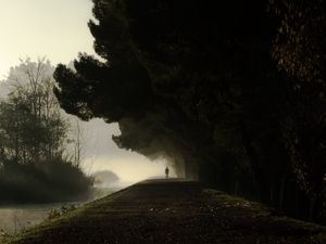 Preview wallpaper silhouette, fog, trees, loneliness, darkness, dark
