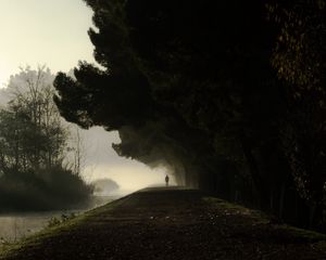 Preview wallpaper silhouette, fog, trees, loneliness, darkness, dark