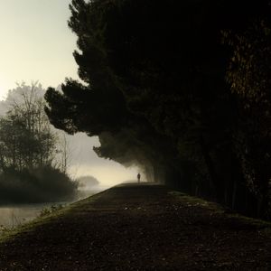 Preview wallpaper silhouette, fog, trees, loneliness, darkness, dark