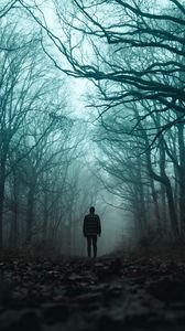 Preview wallpaper silhouette, forest, fog, loneliness, gloomy