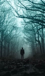 Preview wallpaper silhouette, forest, fog, loneliness, gloomy