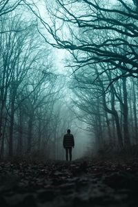 Preview wallpaper silhouette, forest, fog, loneliness, gloomy