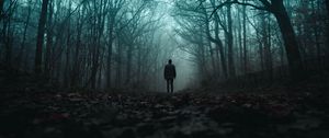 Preview wallpaper silhouette, forest, fog, loneliness, gloomy