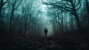 Preview wallpaper silhouette, forest, fog, loneliness, gloomy