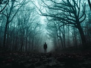 Preview wallpaper silhouette, forest, fog, loneliness, gloomy