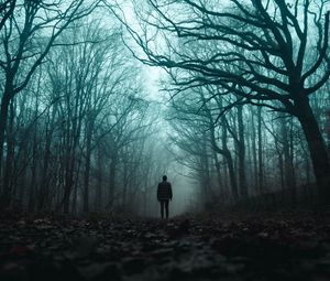 Preview wallpaper silhouette, forest, fog, loneliness, gloomy