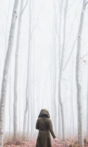 Preview wallpaper silhouette, forest, fog, alone, nature