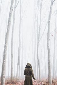 Preview wallpaper silhouette, forest, fog, alone, nature