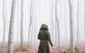 Preview wallpaper silhouette, forest, fog, alone, nature