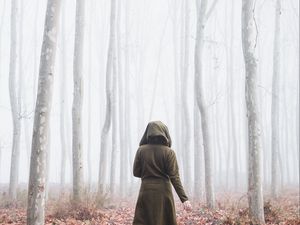 Preview wallpaper silhouette, forest, fog, alone, nature