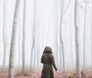 Preview wallpaper silhouette, forest, fog, alone, nature