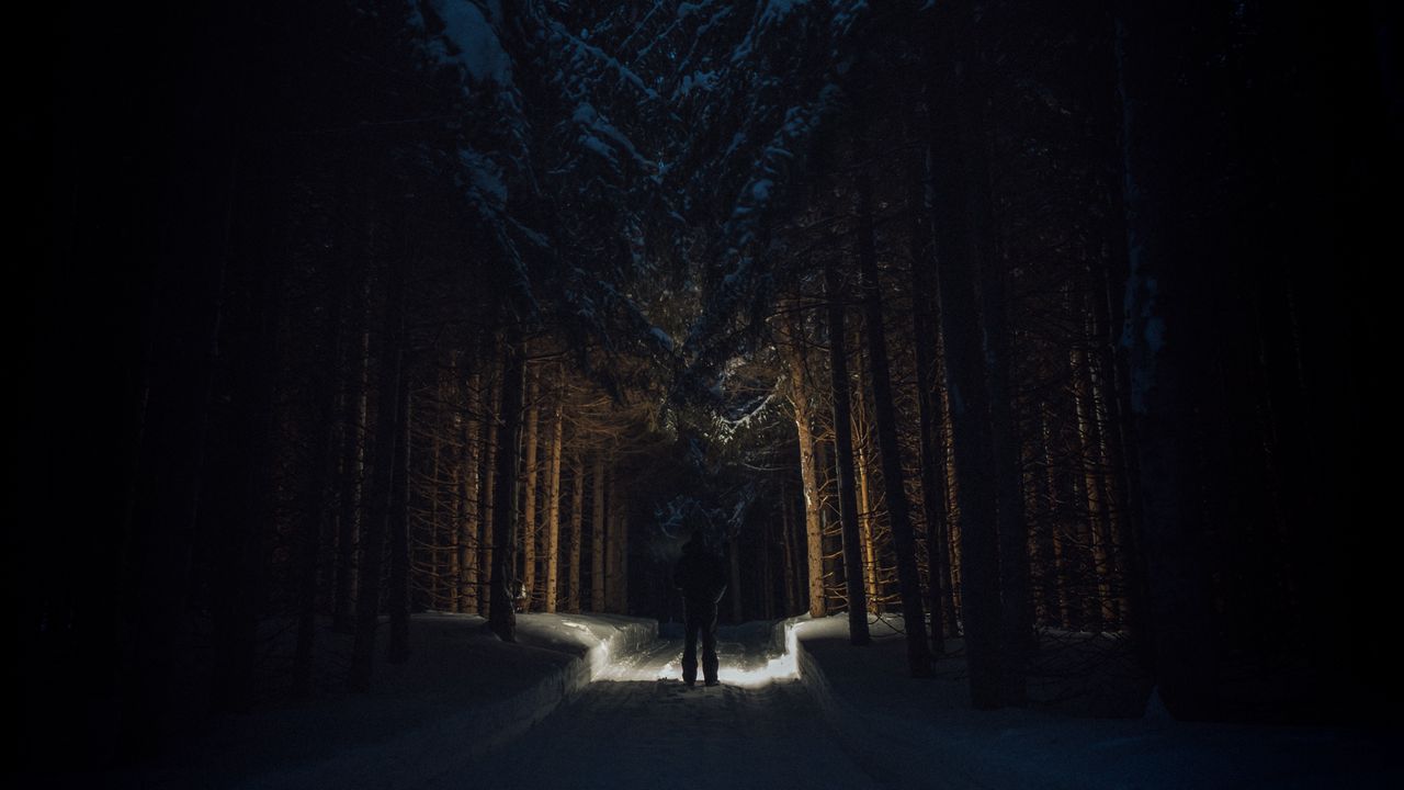Wallpaper silhouette, forest, road, snow, trees