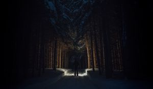 Preview wallpaper silhouette, forest, road, snow, trees