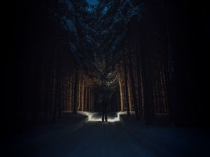 Preview wallpaper silhouette, forest, road, snow, trees